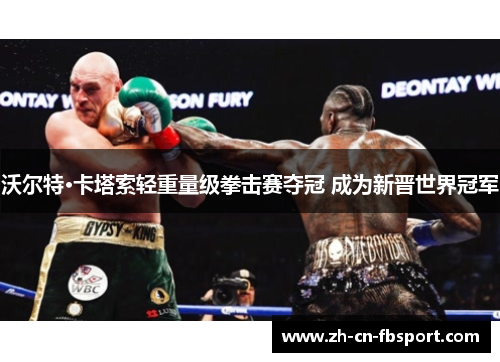 沃尔特·卡塔索轻重量级拳击赛夺冠 成为新晋世界冠军