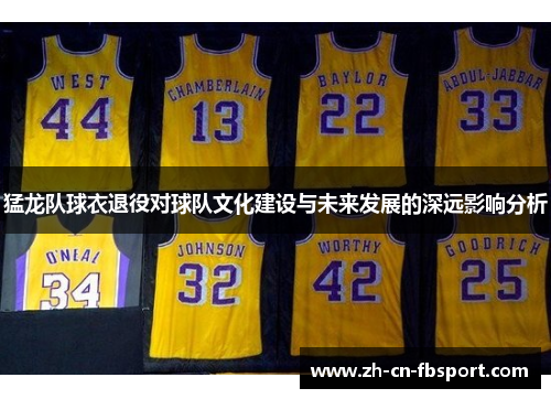 猛龙队球衣退役对球队文化建设与未来发展的深远影响分析