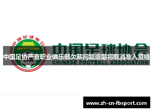 中国足协严查职业俱乐部欠薪问题逾期将取消准入资格 中国足协严查职业俱乐部欠薪问题逾期将取消准入资格
